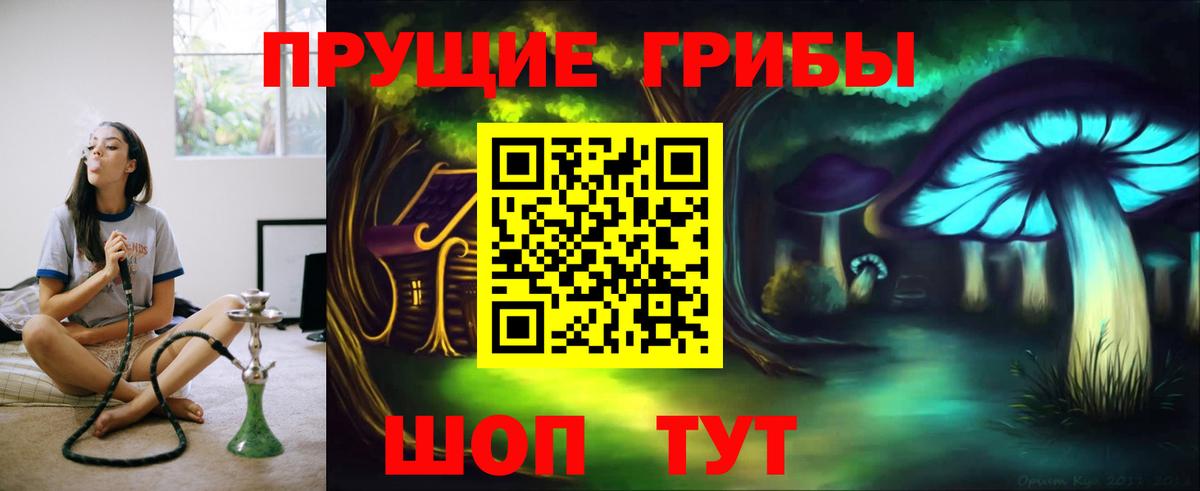Псилоцибиновые грибы мицелий  Вход с VPN  Ачинск 